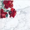 vanessa_204